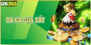 Đá Gà Cựa Sắt OK365 | Chia Sẻ Mẹo Chọn Kèo Hiệu Quả