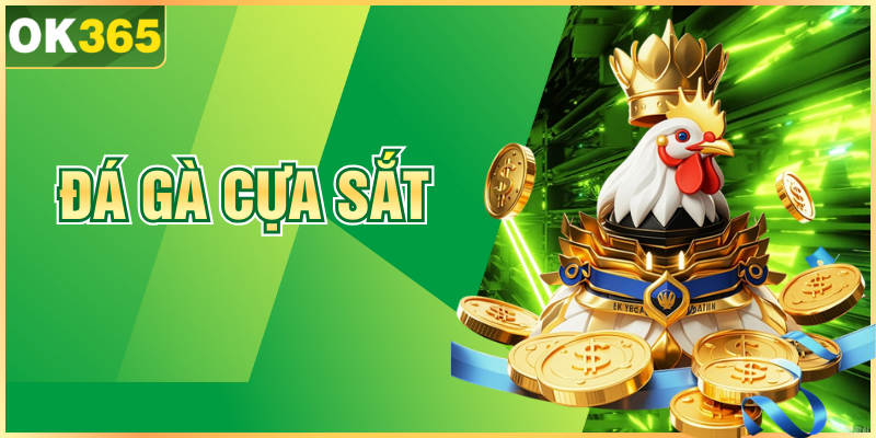 Đá Gà Cựa Sắt OK365 | Chia Sẻ Mẹo Chọn Kèo Hiệu Quả